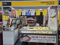 HACCP 내장제거 영광법성포 찜보리굴비 30cm내외 5미 : 굴비사유