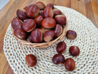 2025년 당도최상 충주 이평밤 햇밤 2kg : 달밤농장