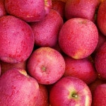 문경사과 부사 10kg 꿀사과 경북 문경 사과 : 봉서자연농장