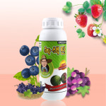 바이오플랜 녹색탄 500ml 엽록소강화제 광합성증가 : 식물보호닷컴