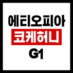 에티오피아 코케 허니 G1 225G : 본어게인커피로스터스