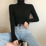 흰색목폴라 골지폴라티 이너폴라티 골지목 검정 : 복리상회