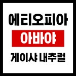 [뉴크랍] 에티오피아 아바야 게이샤 내추럴 G1 225G : 본어게인커피로스터스
