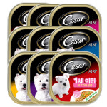 시저 캔 cesar 강아지 애견간식 : 바둑이