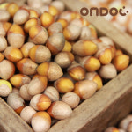 영양간식 산지직송 피은행/깐은행 모음전 : ONDOC