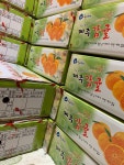 싱싱한 자연을 품은 청정제주감귤 : 준서네 농장