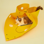 치즈만두 고양이 숨숨집 놀이터널 : 전국구고양이