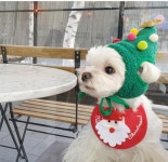 이츠독 크리스마스 도그 빕 (산타) 강아지 고양이 크리스마스 턱받이 : 펫아지트