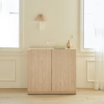 베이직 H745 옷장 800 키작은 미니 장 800x500x745mm, 화이트 : 아이엔지홈