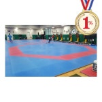 일프로 - OSG-2001-8(장) 태권도매트 800(L)x800(W)x25(T)mm 국제경기용 : 그린커머스몰