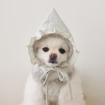 강아지모자 요정 겨울 보닛 윈터베베 마벨피피 : 꼴레트멍멍 스토어