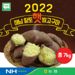 2022 화산농협 해남 황토 밤고구마 7kg(3.5kg＊2박스) : 공영쇼핑