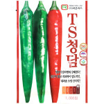 TS청담 1000립 : 중앙종묘농약사