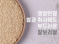 국산 찰보리 1kg 전북 부안산 : 농장 760