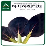 (성실)다채씨앗종자 적다채 (4000립) 1봉 : 성실원예