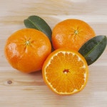 돌담농장 제주 레드향 가정용 선물용 1kg 2.5kg 4.5kg : 망설이면 매진
