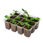 투명 플라스틱 삽목 트레이 6구/12구 : 베스트 하우스