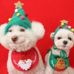 아임 트리 루돌프 모자 도그 빕 고양이 강아지 크리스마스모자 파티 귀여운 악세사리 스카프 : 멍냥이동산