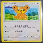 깜지곰 : 포켓몬카드 포카포카