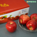 [충북원예농협]충주 홍로사과 5kg(17-18과) : 공영쇼핑