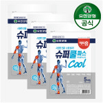 [유한양행] 해피홈 슈퍼 쿨파스 5매 3개 : 유한양행 공식스토어