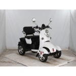 4륜 장애인 전동스쿠터 전기 오토바이 스쿠터 노인 노약자 어른신 2인용 사륜스쿠터 : 온라인119