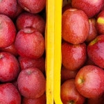 문경사과 부사 10kg 꿀사과 경북 문경 사과 : 봉서자연농장