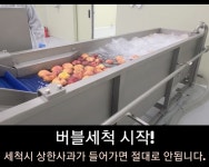 사과원물로만 휴롬식 착즙한 (NFC방식) 찐한 생 사과즙 30포(1BOX) : 버들골농장
