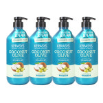 케라시스 리얼네이처 코코넛 올리브 샴푸 800ml x4개 윤기케어 : 크린시아몰