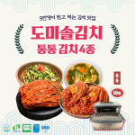 도미솔김치 통통 4종세트 12kg (왕비4+보쌈4+열무2+오색여름2+6L 통2개) : 공영쇼핑