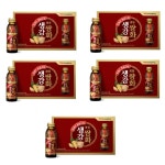 광동 생강 쌍화 120ml x100병 한방 약국 음료 차 : 주주하우스