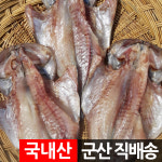 군산 반건조 가자미 1.2kg 소 중 대 : 장스토어