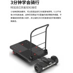 이동 대차 농업용 운반차 전동 수레 접이식 : 심플패스트