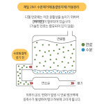BMW 디젤 경유 제일 동결방지제 수분제거제 연료 첨가제 불량 방지 : 잇 템 스토어