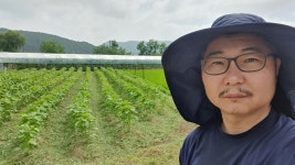 무농약 우농현답 들기름 프리미엄 300ml : 상주에서.지기재햇살농장