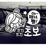 매너짱브끄브끄초보 초보자동차스티커 화이트 : sunshinenmall