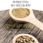 CBD 헴프씨드 오일 파이토카나비노이드 대마씨유 대마유 [100% 유기농] : 사랑해몰