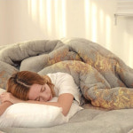 바나나빌딩 V 자가발열 양털 이불 매트 싱글 두꺼운 겨울 토퍼 : 더드림만물상