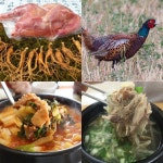 꿩고기 판매 농장 꿩요리 까투리구이 암꿩 : 베이직-마켓