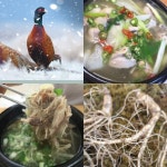 꿩고기 판매 농장 꿩요리 까투리구이 암꿩 : 베이직-마켓