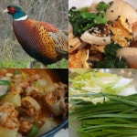 꿩고기 판매 농장 꿩요리 까투리구이 암꿩 : 베이직-마켓