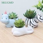 다육이화분 홈가드닝 책상화분 기린 얼룩말 북극곰 팬더 하마 모양 데스크탑 장식 꽃 : kiki마켓