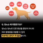[하이독 케어브이라이트] 다베틴 500g 당뇨 완밥사료 다이어트 강아지 저탄수 혈당관리 습식 : 하이독