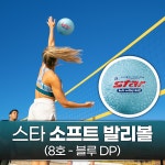 스타 우수한 터치감 소프트 발리볼 스폰지공 닷지볼 학교 해변 운동회 체육 대회 스포츠/8호 블루DP : 미스터의잡화상점