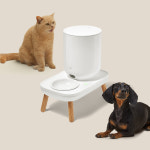 두잇 더테이블 플러스 스마트 자동급식기 : duit