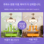 라이준 선풍기 실링팬 캠핑용 천장 천장형 타프팬 저소음 LED 거실 : 글로리mall
