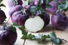 [농부 제주규리] 제주 농장 직송 콜라비 소과 10kg : 농부 제주규리