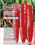 고추종자/농심칼탄 1,200립 (농협종묘 정품) : 두레농약종묘센터