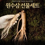국산 금산 세척 수삼 인삼 뿌리삼 삼 포장 선물세트 : 리빙후레시