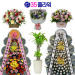 분당꽃배달 분당화환 성남시 화환 : 35플라워